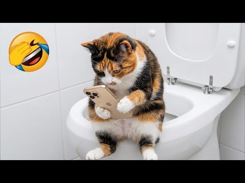 Try Not To Laugh 😂 Best Funny Cats and Dogs Videos 2026 😽🐶 Part 7