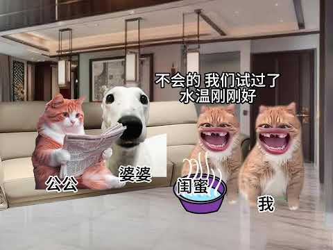 《洋柿子和闺蜜》1-21集,31分钟纯享版...#猫meme #猫meme小剧场 #大熱門 #funny #memes #猫meme故事