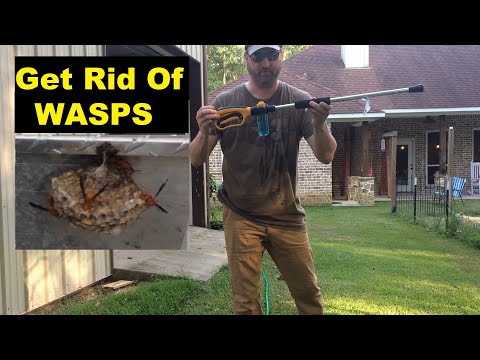 Never Buy WASP Spray again - Eliminate WASP Nests Fast