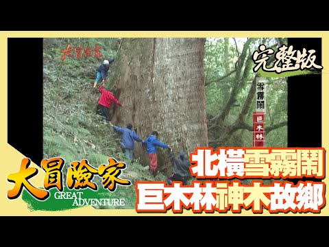 【大冒險家】北橫雪霧鬧 神木的故鄉（一線天瀑布／陷阱獵竹雞／大刀神木） │2003.03.17│ 167集完整版
