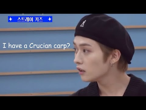 Stray Kids 2021 memorable funny moments