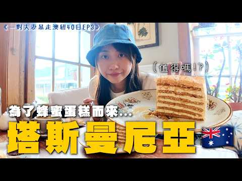 #塔斯曼尼亞 最好吃的蜂蜜蛋糕🐝搖籃山值得去嗎？澳洲行山竟然看到...又去中伏景點 魔女宅急便麵包店的香草蛋糕🇦🇺朗塞斯頓3日2夜｜SASA滾動中