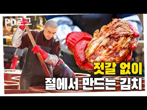 “젓갈도 마늘도 없어요” 먹는 것도 수행이라는 해인사 스님들의 겨울 김장｜3박 4일간의 김장 대장정 2부｜PD로그｜82화 천년 사찰의 겨울 준비, 김장 5,000포기