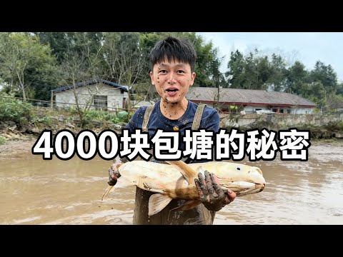 Renting a fishpond that hasn't been used for over ten years for 4000 yuan looks like a sure-fire ...