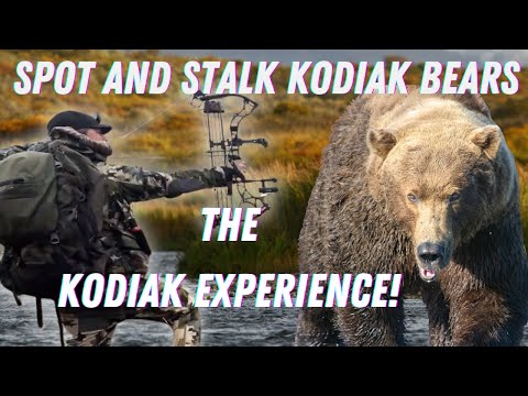 Bow Hunting Kodiak Bears, Sitka Blacktail Deer & Catching Legendary Steelhead