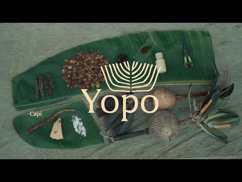 Power Plants | Yopo