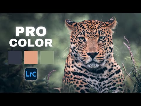 Don’t Ignore the Power of Lightroom’s Point Color!