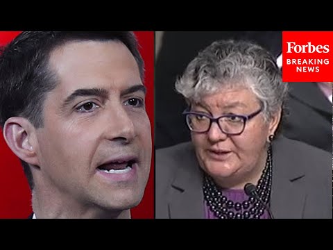 'Inflammatory Accusations Against Bible Believing Christians': Cotton Rips Into Nominee At Hearing