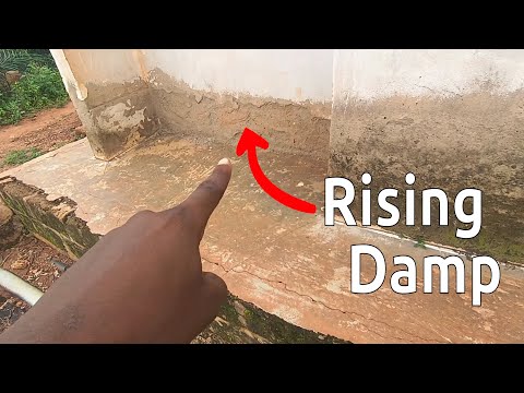 How to prevent rising damp — Complete guide