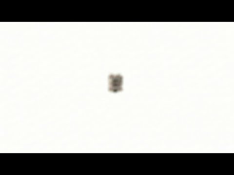 Lo MÁS PEQUEÑO que Hemos Construido