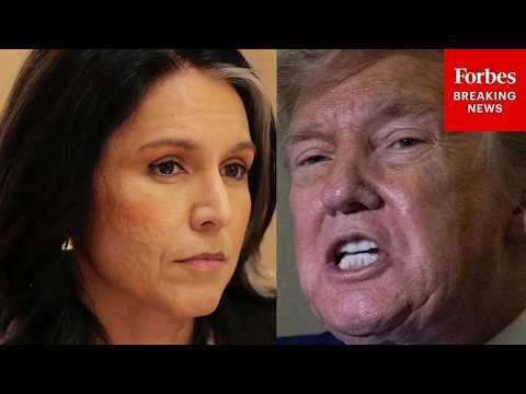 Trump Asked Point Blank: Do You Still Have Confidence In Tulsi Gabbard?
