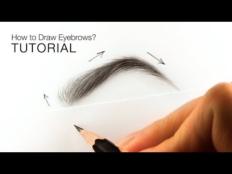 How to draw realistic eyebrows for BEGINNERS - EASY TUTORIAL