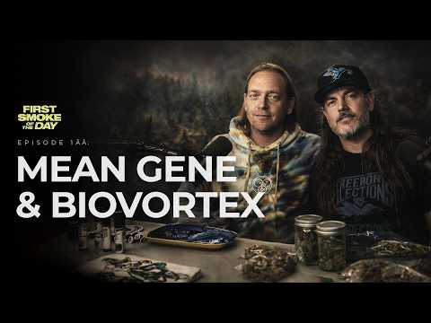 Mean Gene & Biovortex: The LIME Line, Real Breeding Takes Years. Infamous Terps