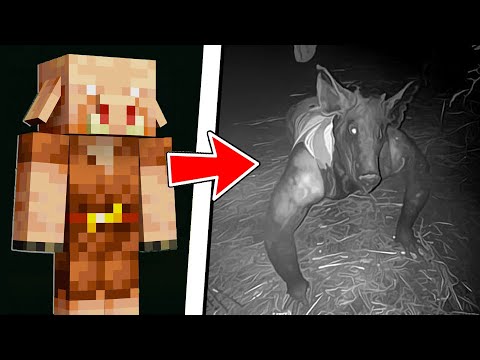 MOBS DO MINECRAFT CAPTURADOS NA VIDA REAL