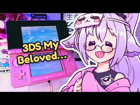 I Built My Dream Modded 3DS