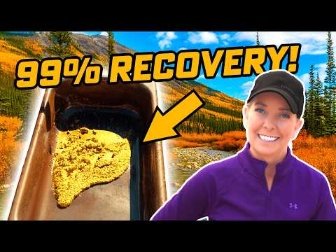 Gold Cleaned → New Dream Truck Revealed!