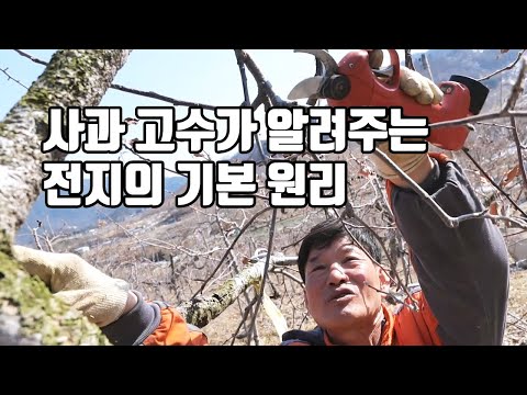 사과 고수가 알려주는 전지의 기본 원리