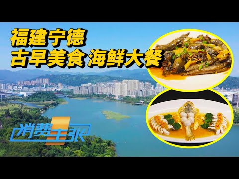 福建宁德：从百变黄鱼到丑萌“土丁”，山海间的味蕾盛宴，古早味与海鲜的绝美邂逅 「消费主张」2024中国夜市全攻略 20240913 | 财经风云