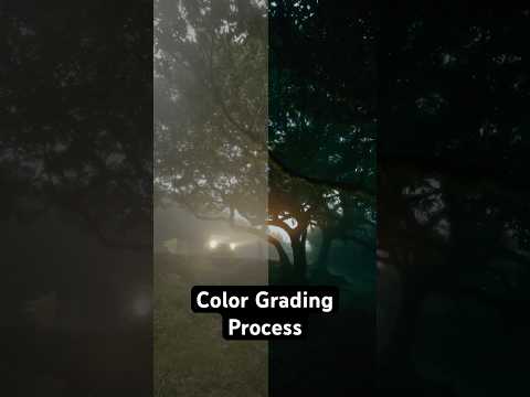 How I Color Grade My Videos
