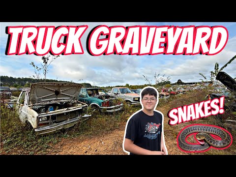 Ralphie Found a Deal at the Junkyard