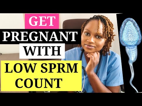 How to Get Pregnant with Low Sprm Count // How to Optimize Male Fertility
