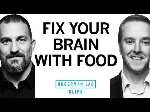 Your Diet is Changing Your Brain | Dr. Chris Palmer & Dr. Andrew Huberman