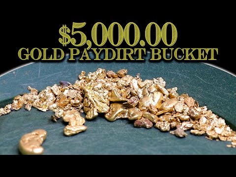 $5,000.00 Gold Paydirt