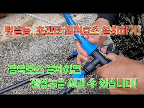 How to install drip hoses that help home gardeners beat professional farmers! Enjoy a bumper crop...