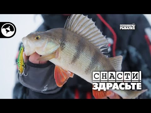 Зимний окунь на балансир | Снасти, здрасьте!