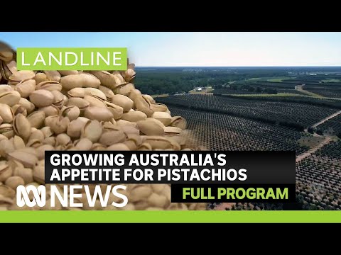 Landline full program | Growing Australia's appetite for pistachios |ABC News In-depth
