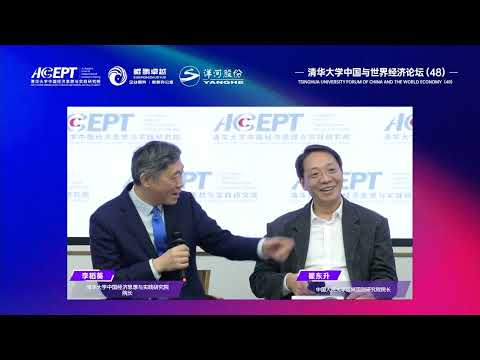 清华大学中国与世界经济论坛：2025年的中国经济