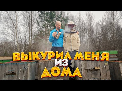 Жизнь продолжается : домик строится , посылки распаковываются , животные счастливы .