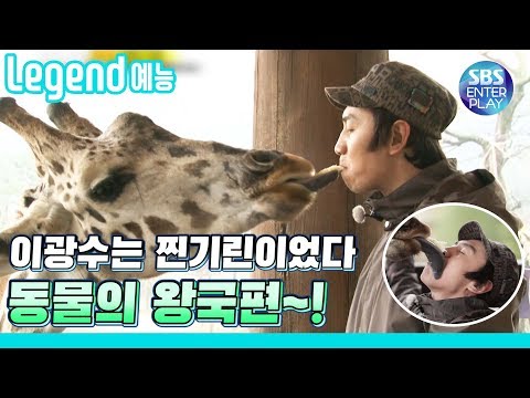 [Legend Entertainment] What's wrong with a RunningMan's giraffe kissing a giraffe? / Running Man