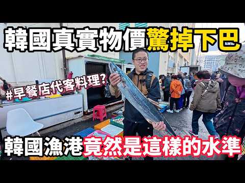 The prices at Seobudo Fish Market in South Korea are shocking! Piles of prawns all for 600 won?! ...