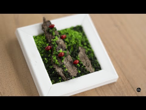 Mini Mushroom Framed Terrarium | Lucky Red Seeds | artwist | DIY