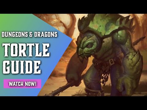 Tortle 5e - Ultimate Race Guide for Dungeons and Dragons