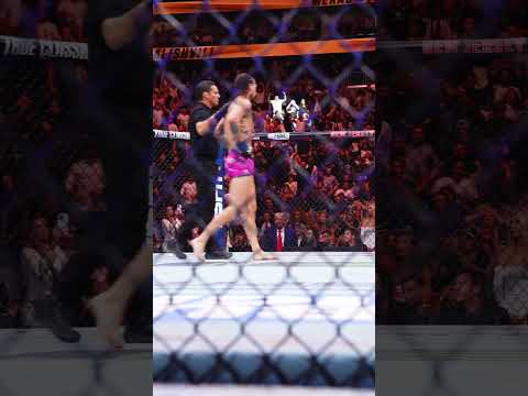 MERAB SUMBITS O'MALLEY!!! 🤯 #ufc316