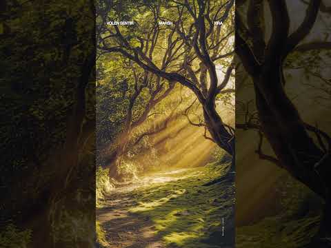 ‘Different’ - out now!! 🤍 #electronicmusic #housemusic #shorts