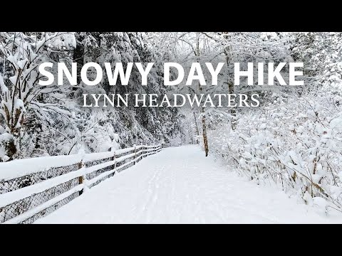 Magical Winter Wonderland: A Serene Snow Hike at Lynn Headwaters Park, North Vancouver BC Canada
