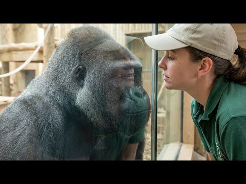 No One Expected What Happened Next