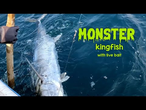 Live Bait vs. Sea Monster… You Won’t Believe the Ending!