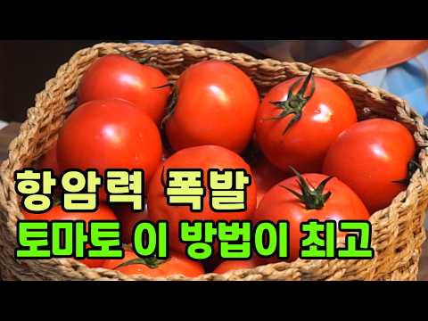 매일 드세요. 항암력 상승 레시피 끝판왕.