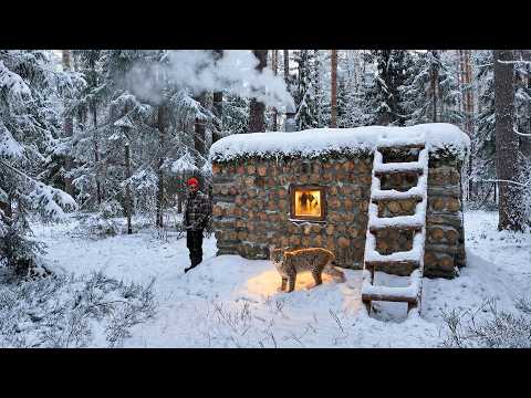 Surviving -20°C: Hiding in My Warm Log Cabin