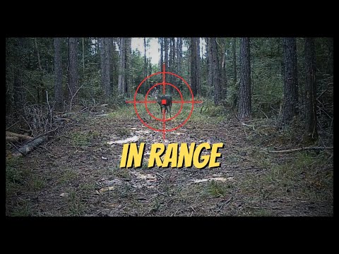 Deer Season Prep, Youth Hunt Tips, & Copperhead Close Calls