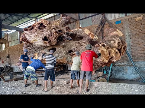 Kayu trembesi kutukan dukun sakti !! digergaji jadi serpihan bahan meja resin I Sawmill