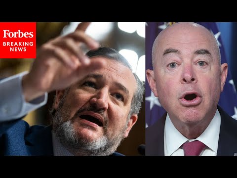 'You Just Testified That You Are Incompetent!': Ted Cruz Grills Biden Officials | 2023 Rewind