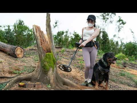 The clever dog helped me find the thousand dollar treasure hidden under the burnt tree