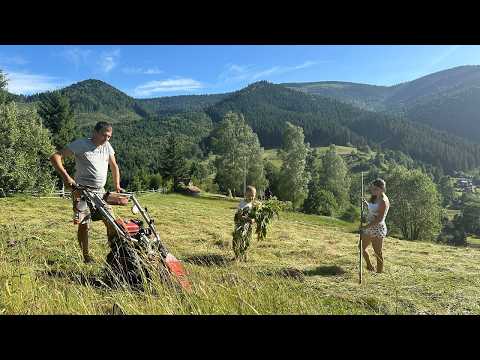 Family Hay Harvest & Yearly Meat Prep in the Mountains 🏔️🚜 | Hard Work, Laughter & Homemade Sausage