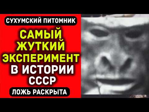 ГИБРИД ЧЕЛОВЕКА И ОБЕЗЬЯНЫ - реальный эксперимент СССР 1927 года! Архивы рассекречены