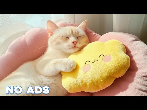 12 Hours Of Anti Anxiety Music For Cats 🐈 Stress Relief Music For Cats ♬ Calming Music For Cats